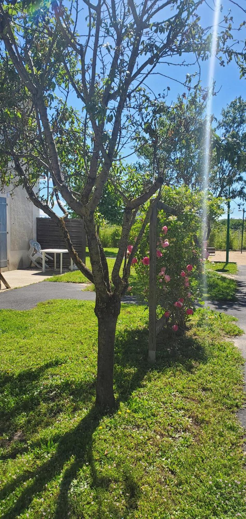 Le Canal Climatisation Wi-Fi Parking Jardin Piscine 15 Mn De Beziers Colombiers  Exterior photo